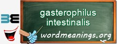WordMeaning blackboard for gasterophilus intestinalis
